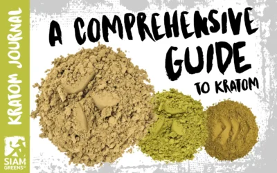 A Comprehensive Guide to Kratom