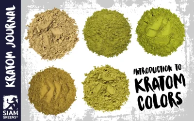 Kratom – Types, Colors, and Effects